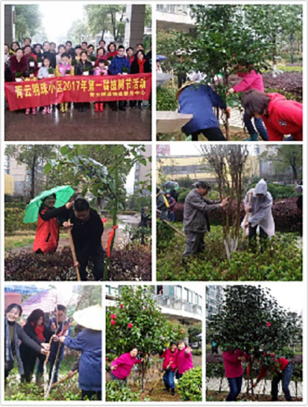 播一片綠林，種一份愛心